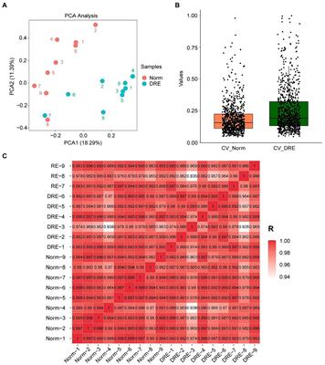 Serum biomarkers in patients with drug-resistant epilepsy: a proteomics-based analysis